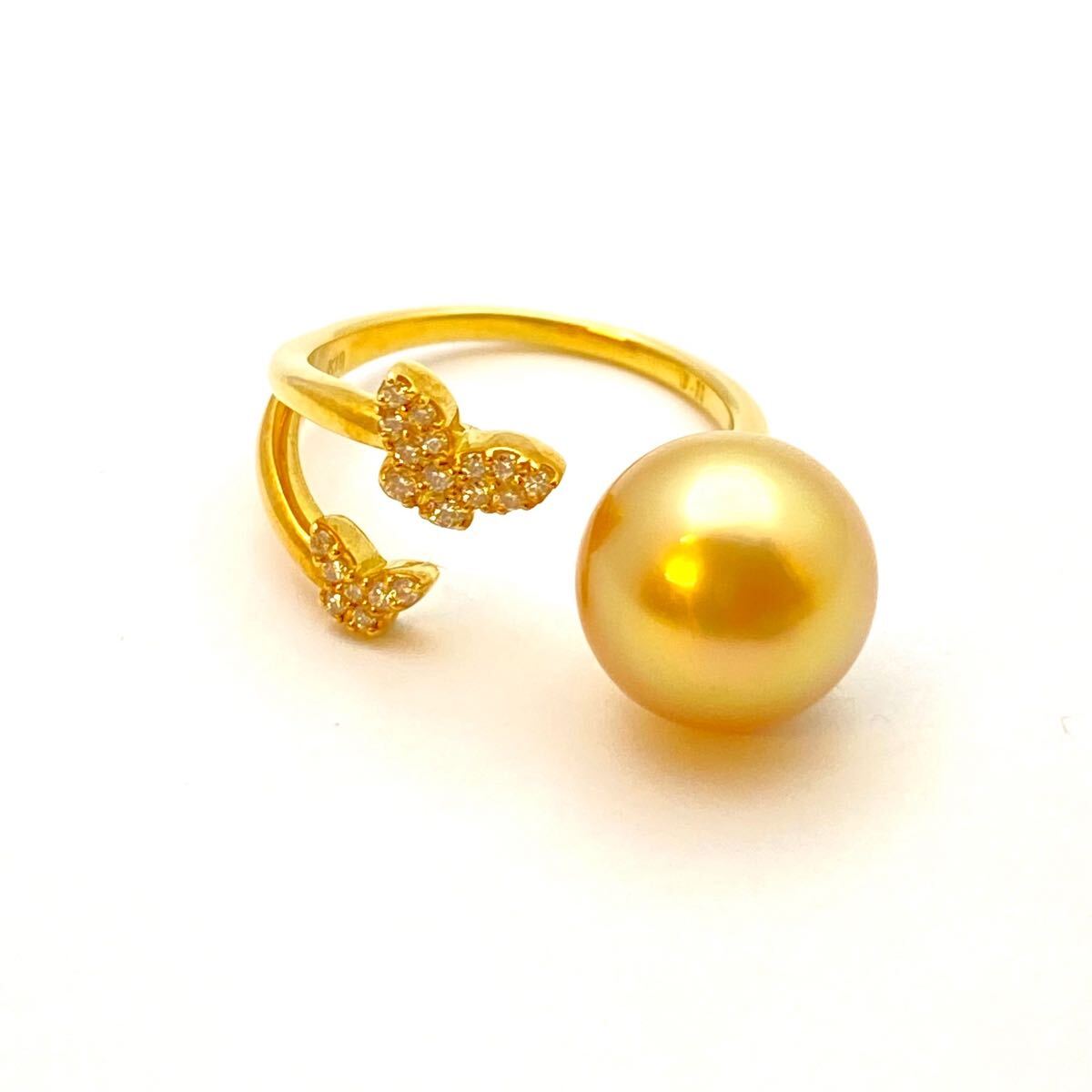 260825504